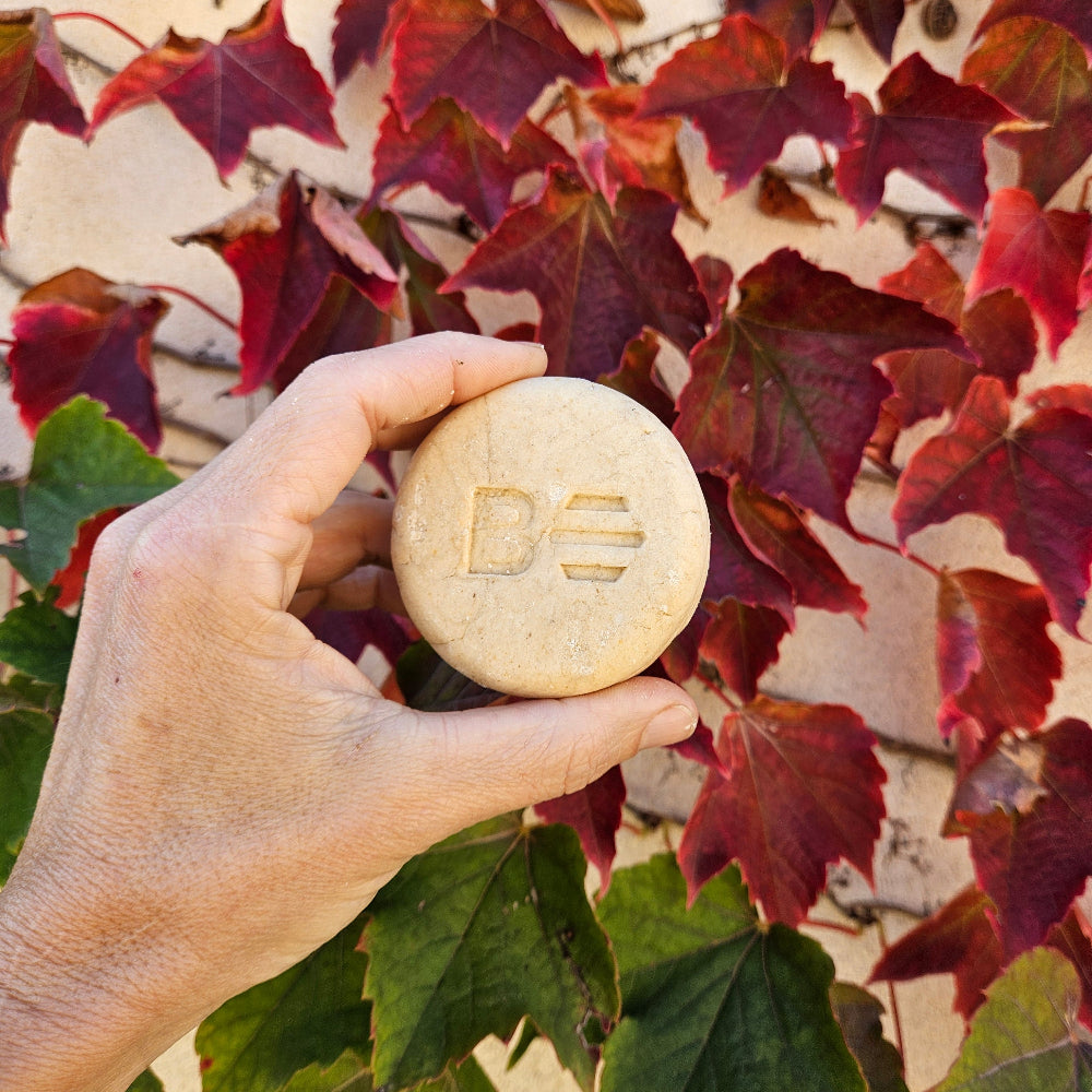 Gel-Champú Sólido Dermo