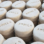 Champú Sólido Oil Free