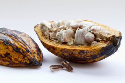 Manteca de cacao