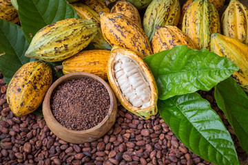 Manteca de cacao ecológica